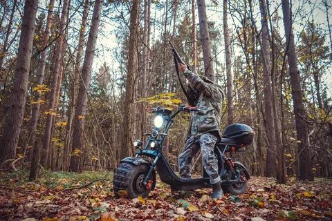 Ws pro 2wd 4000w