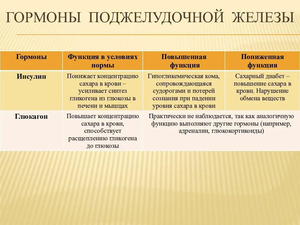 Избыток гормона поджелудочной железы. Инсулин и глюкагон функции. Тироксин гормон щитовидной железы функции. Гормоны и функции гормонов поджелудочной железы. Гормоны поджелудочной железы и их роль.