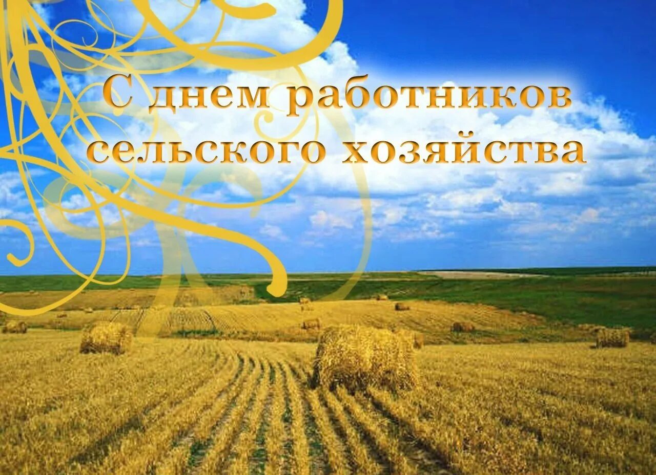 С днем работника сельского хозяйства. День работника сельского х. Поздравление с днем сельского хозяйства. С днем работника селтского хоз