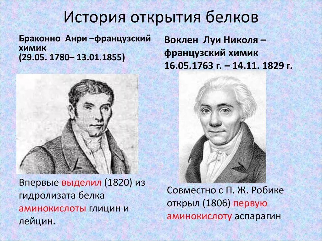 История открытия белков. Беккари белки. История исследования белков. История открытия белка. История изучения белков.
