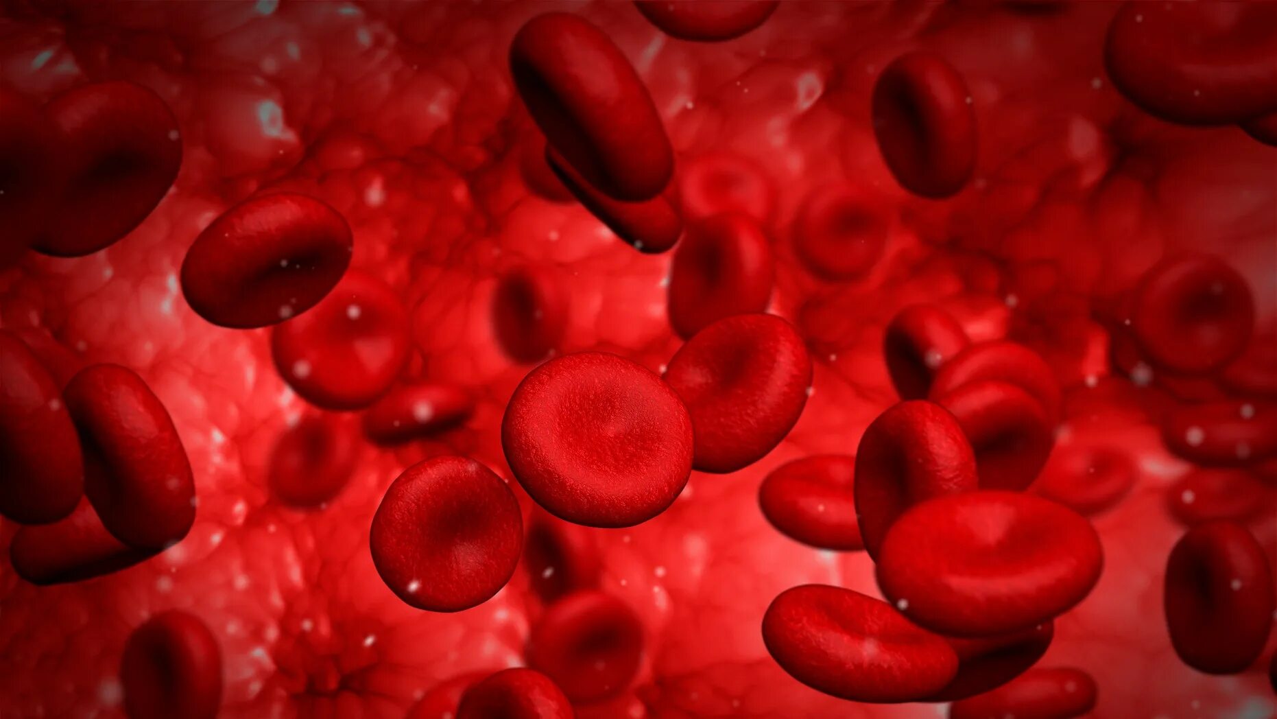 Red cell