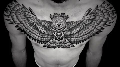Harpy eagle tattoo  Eagle tattoo, Black and grey tattoos, Lower