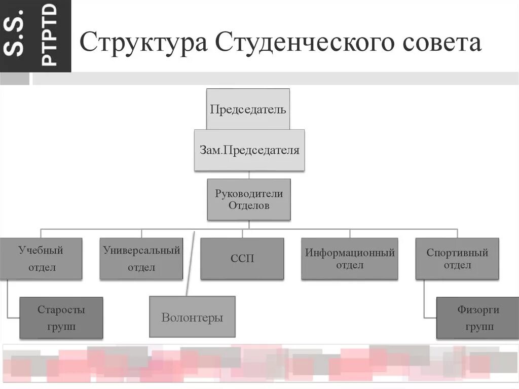 Структура студсовета. Структура студенческого совета. Иерархия студентов. Структура студсовета. Структура студсовета.