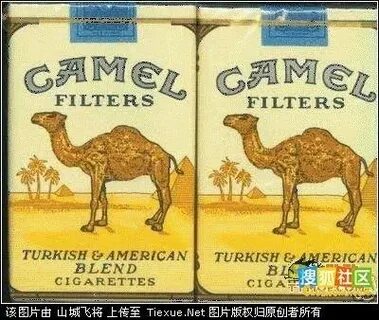 Camel перевод