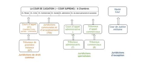 Cour de