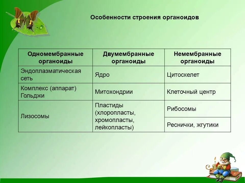 Охарактеризуйте немембранные органоиды клетки (структура и функции).. Мембранные двумембранные и немембранные. Строение и функции немембранных органоидов клетки таблица. Немембранные органоиды рибосомы строение.