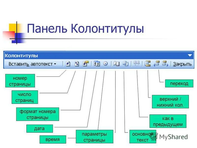 Элементы страницы документа. Структурные элементы текстовых документов. Структура текстового документа. Основные элементы документа. Основные структуры текстового документа.