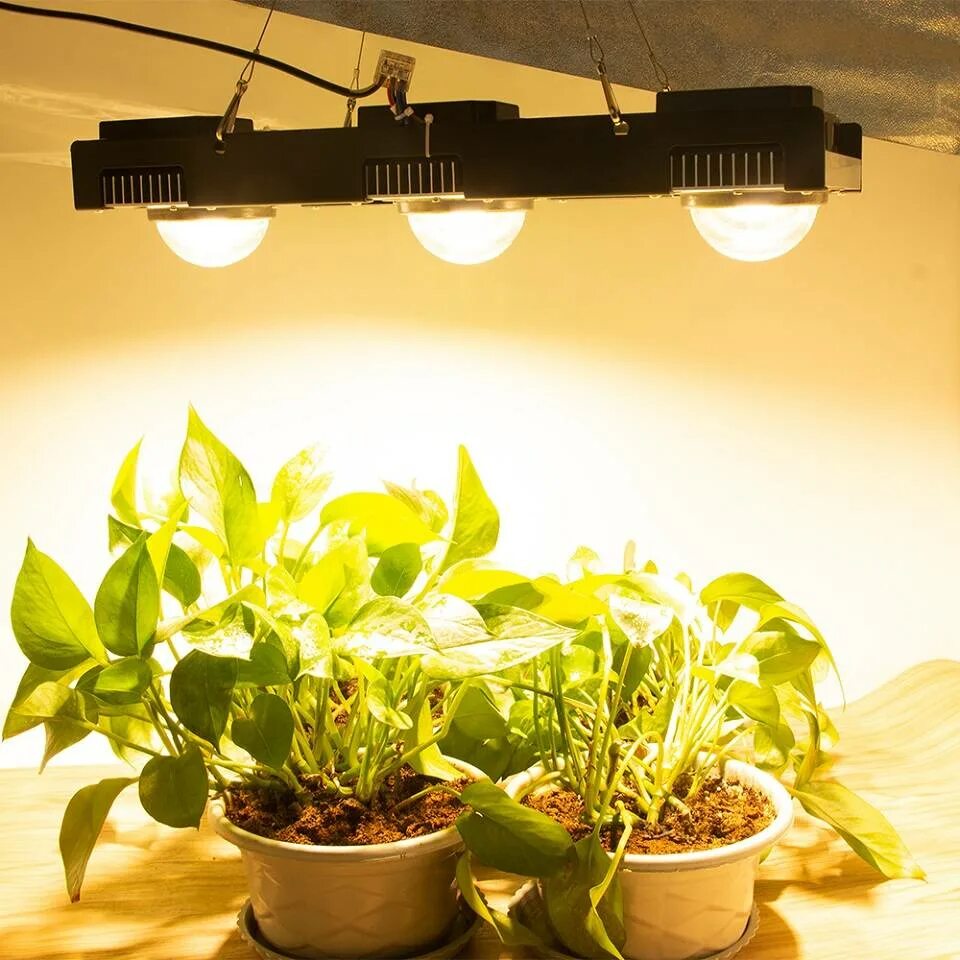 Освещение для растений. Cree cxb3590 grow Light. Подсветка растений cree cxb3590. Led светильник Citizen 200w COB. Фито лампа полный спектр 100w, 200w, 300w.
