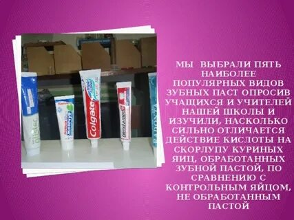 Паста проект