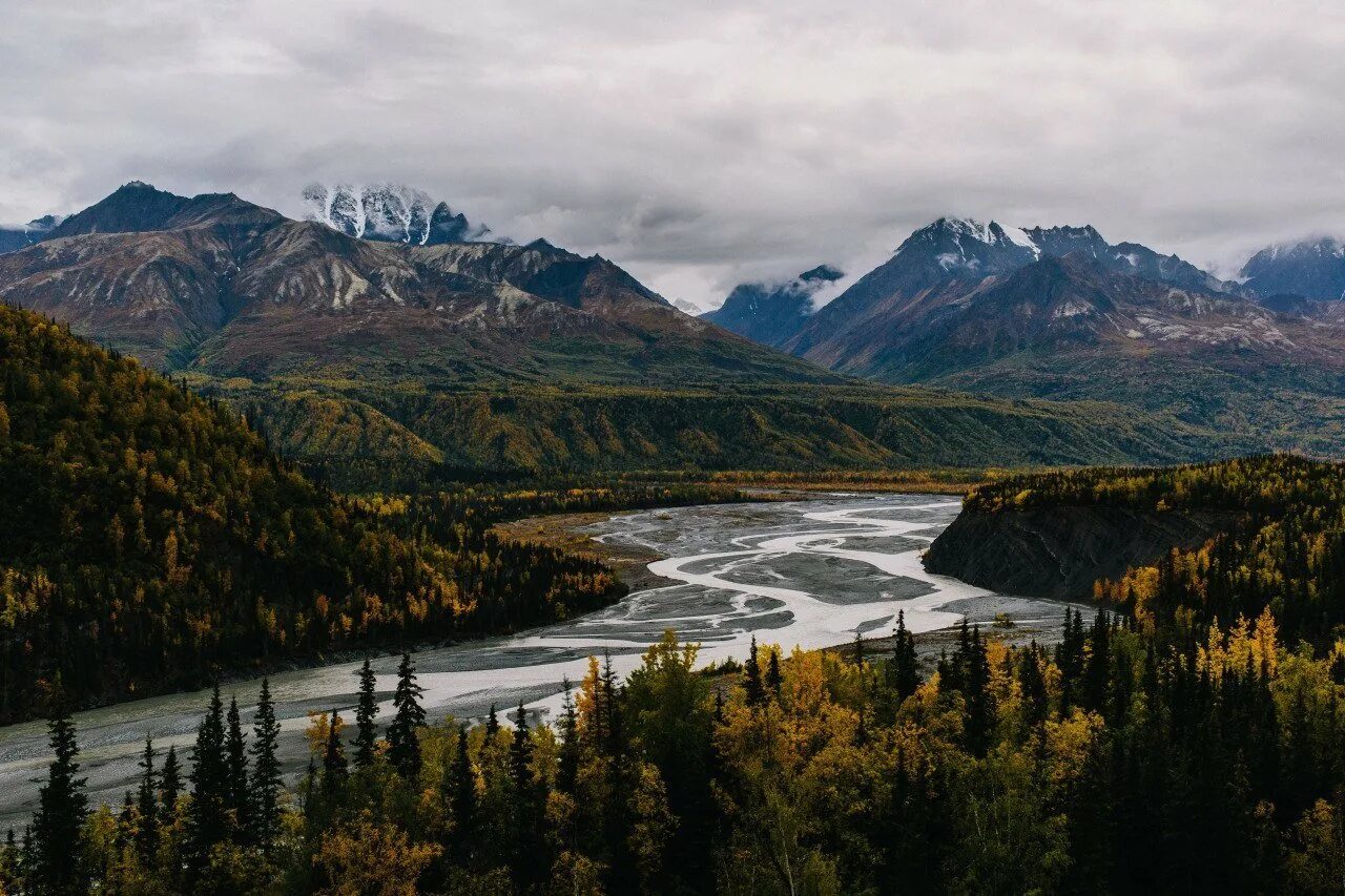 Аляска 8. Аляска (штат США). Аляска горы лес. Дикая природа Аляски. Аляска фото природы.