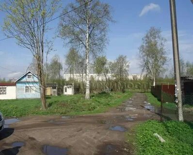 Дачи беляевский мох