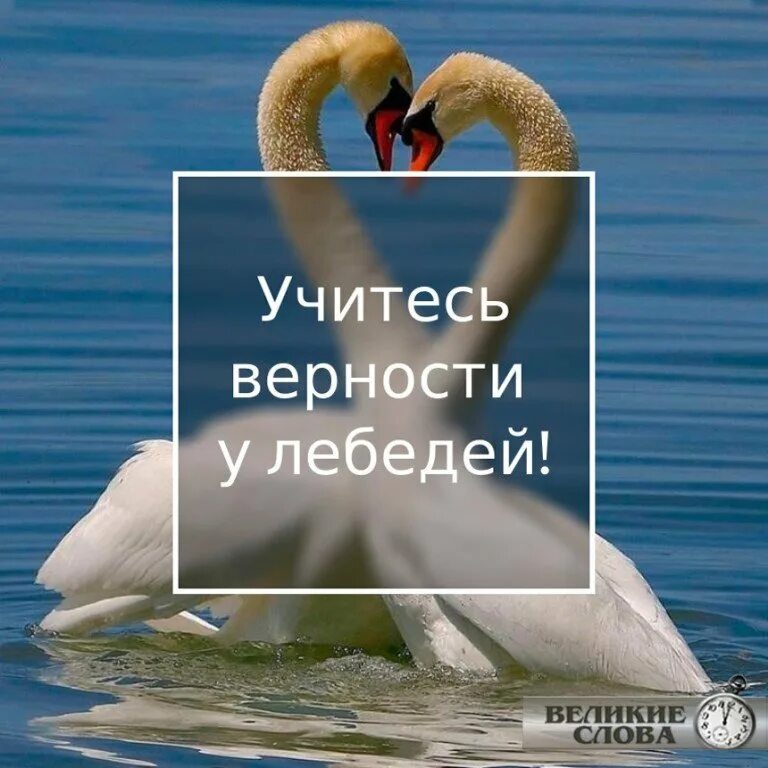 Про дружбу и верность