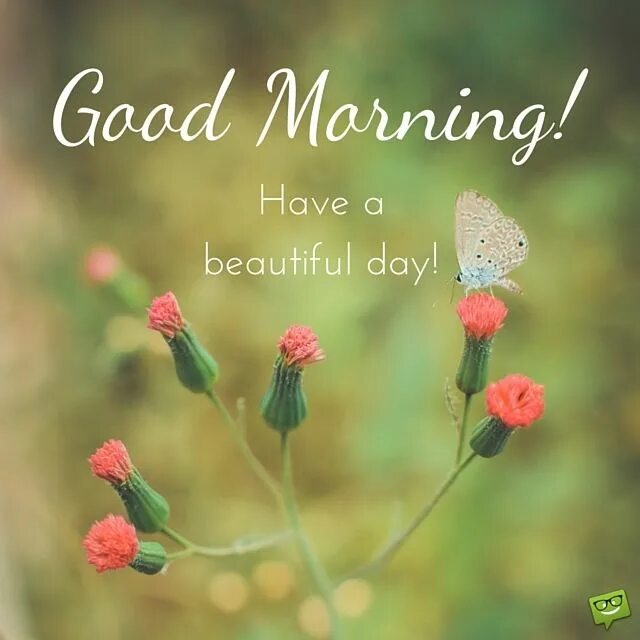 Dear friend good day. Good Day картинки. Good morning have a good Day. Good morning have a beautiful Day. Открытки good morning have a good Day.