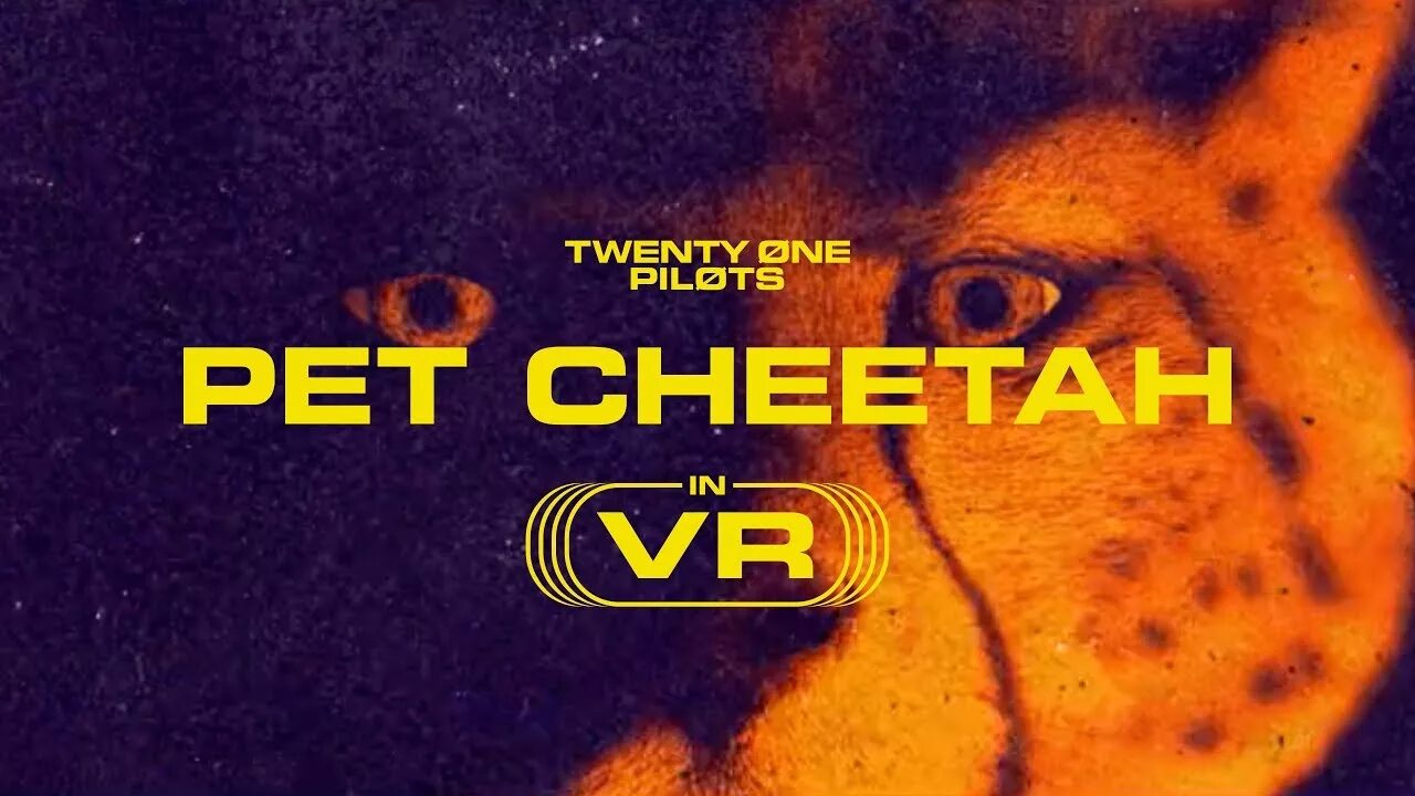 Pet cheetah. Pet Cheetah twenty one Pilots. Pet Cheetah текст. Purple t-Shirt Pet Cheetah twenty one Pilots.