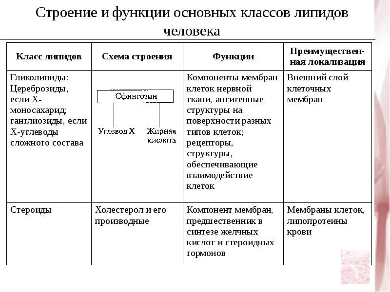 Структура и функции гормонов. Стероидные гормоны функции. роль стероидных гормонов в организме. стероиды функции в организме. стероидные гормоны биологическая роль.