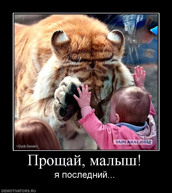 Извини малыш. Прощай малыш я последний. демотиваторы про прощение. доброта демотиваторы. прощай демотиватор.