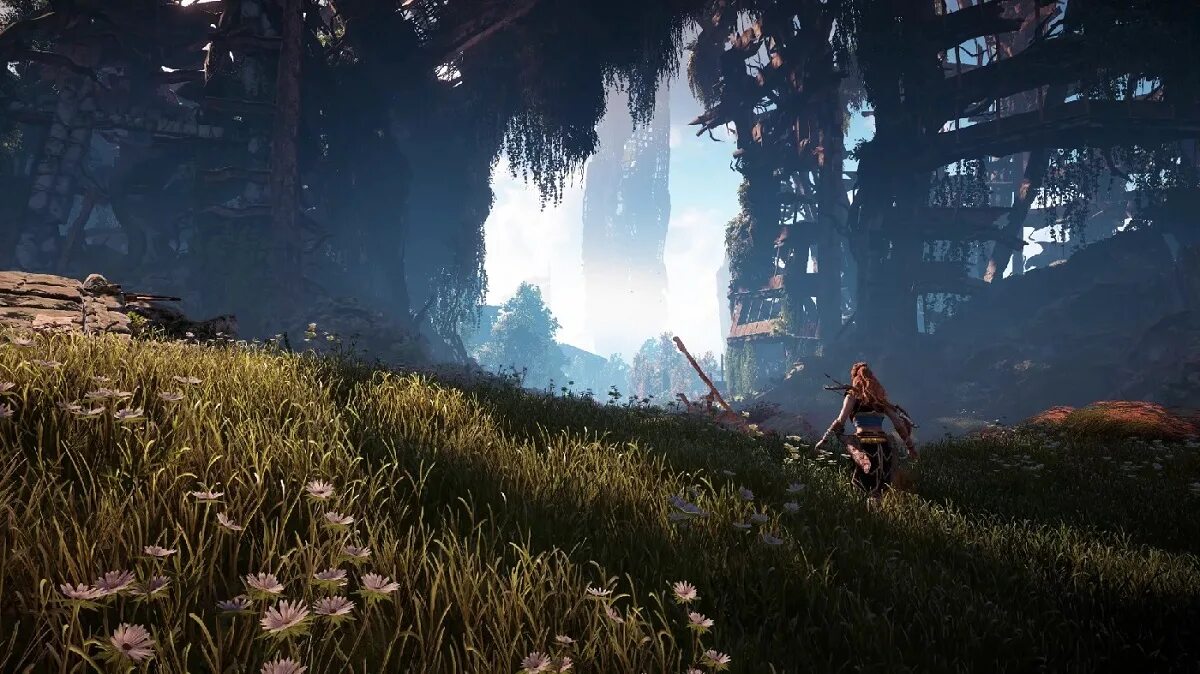 Харайзон зира дон. Выход хорайзен на пк. Харайзон зира дон. Харайзон зира дон. Хорайзон зеро даун.