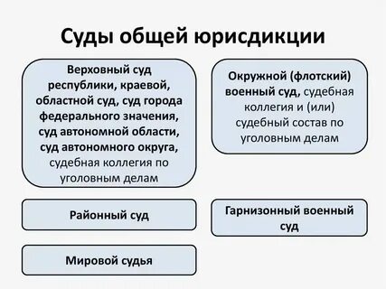 Суды общей инстанции это