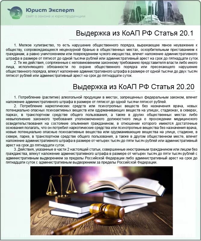 Что обозначает статья 245. Обращение взыскания на ценные бумаги. жестокое обращение с животными статья 245. 245 статья ук рф. статья 245 уголовного кодекса.