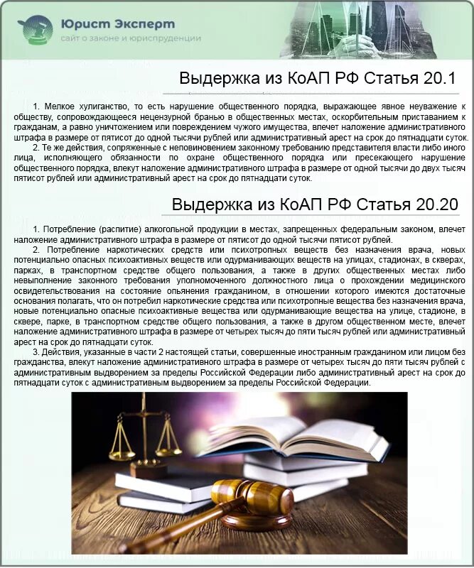 Что обозначает статья 245. Обращение взыскания на ценные бумаги. Жестокое обращение с животными статья 245. 245 Статья УК РФ. Статья 245 уголовного кодекса.