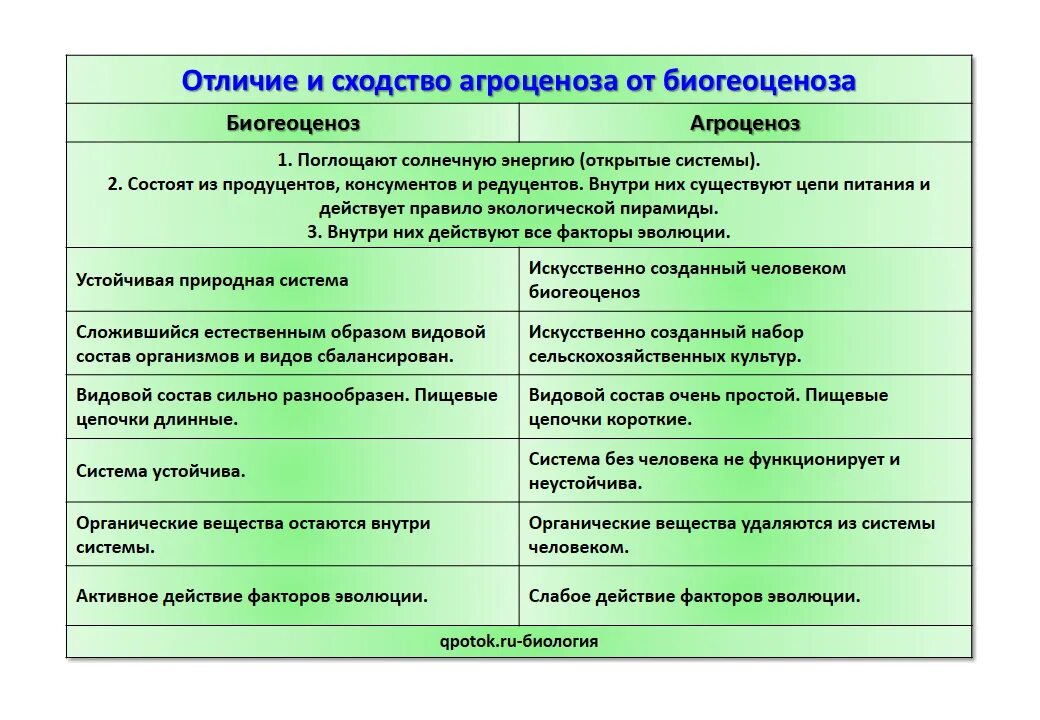 Сравнение агроценоза. Сходства агроценоза и биогеоценоза. Сходства и различия экосистем. Сходства и различия биогеоценоза и агробиоценоза. Биогеоценоз и экосистема сходства и различия.