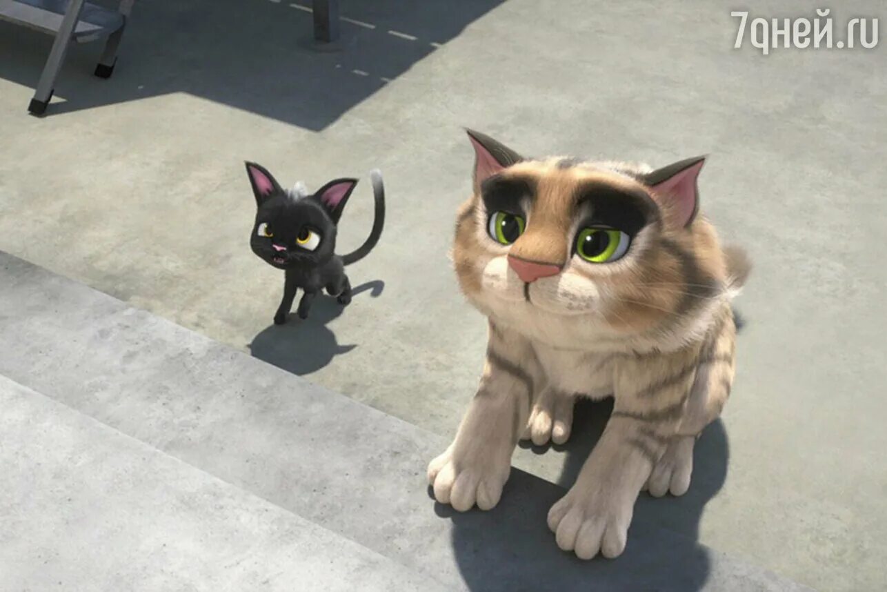 Жил был кот на русском языке. Жил был кот на русском языке