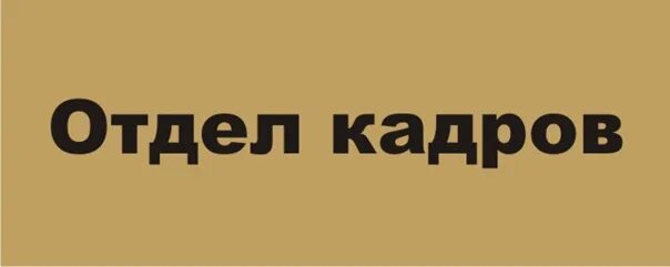 58 26 10. Отдел кадров. Номер отдела кадров. Телефон отдела кадров. Отдел кадров ООО.