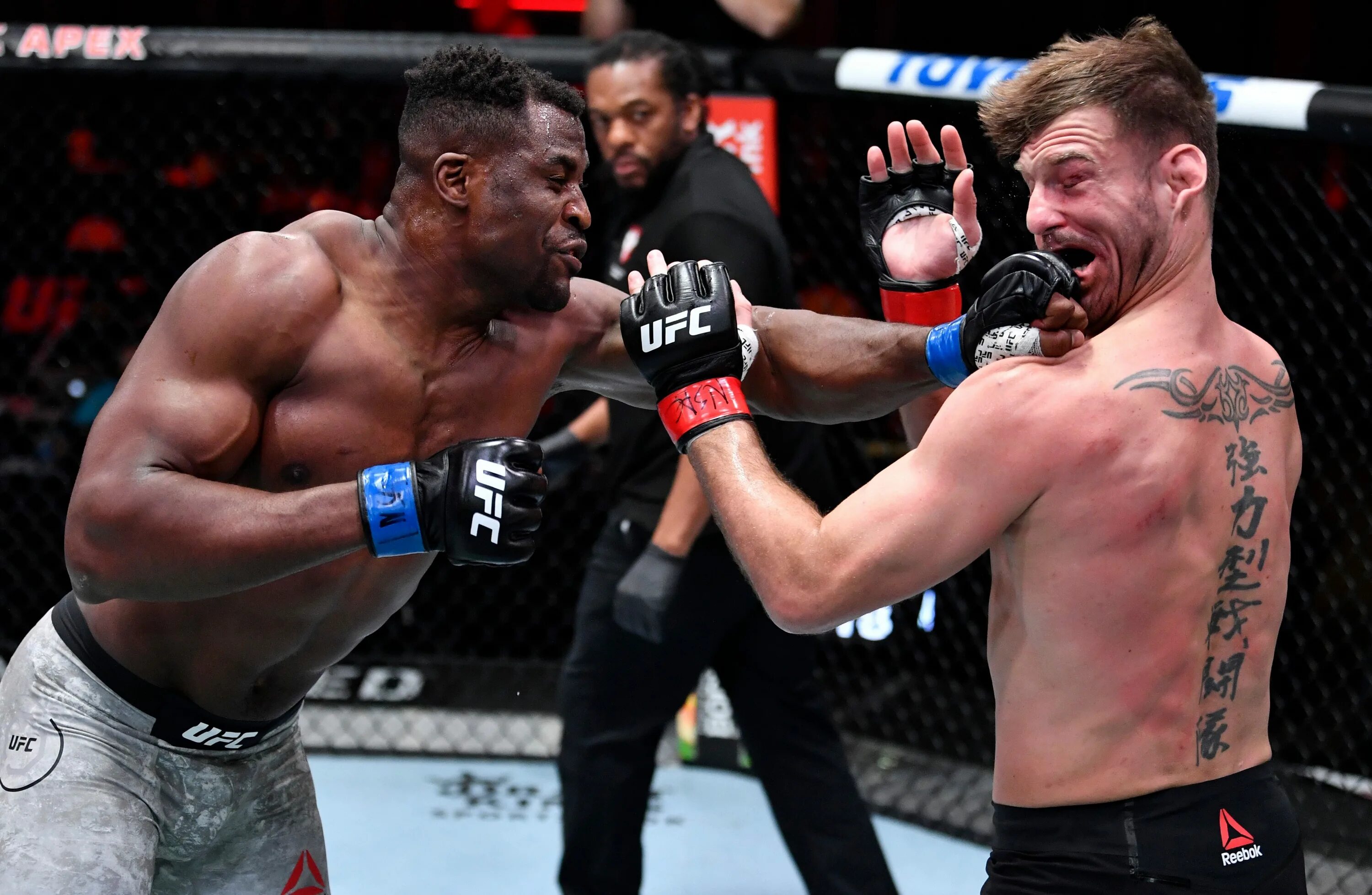 Ufc 299 видео боев