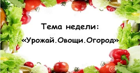 Тематическая неделя овощи отчет