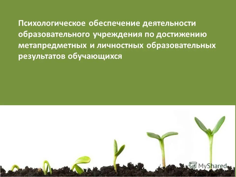 Психологическое обеспечение и психологическое сопровождение. Психолого-педагогическая деятельность. Схема психолого педагогического сопровождения. Психологическое обеспечение и психологическое сопровождение. Термин психологическое сопровождение.