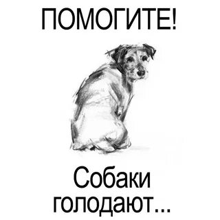 Нужен корм собакам