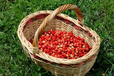 Собирать корзину
