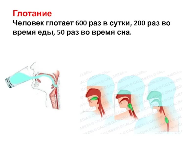 Во время поста можно проглотить слюну. Сложно глотать таблетки. Страх глотать таблетки.