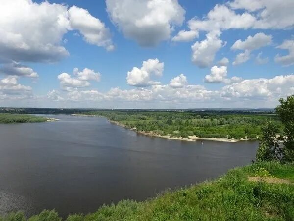 Муром какая река протекает. Муром ока.