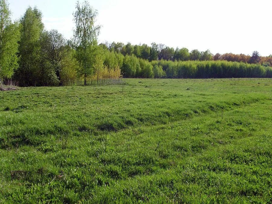 Земля лпх. Сельхоз постройки. Земли сельскохозяйственного назначения. Ферма (сельское хозяйство). Красивая ферма.