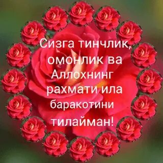 Кун табриклари аелларга