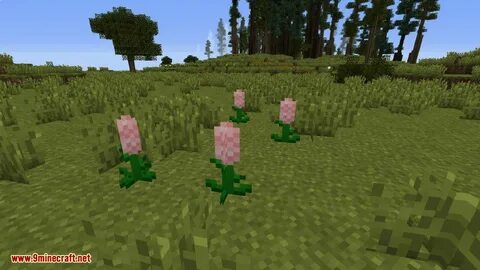 Plants майнкрафт