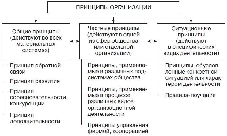 Основной принцип организации содержания. Классификация принципов организации. Классификация принципов организации (по э. а. Смирнову). Общие принципы теории организации. Классификация принципов управления.