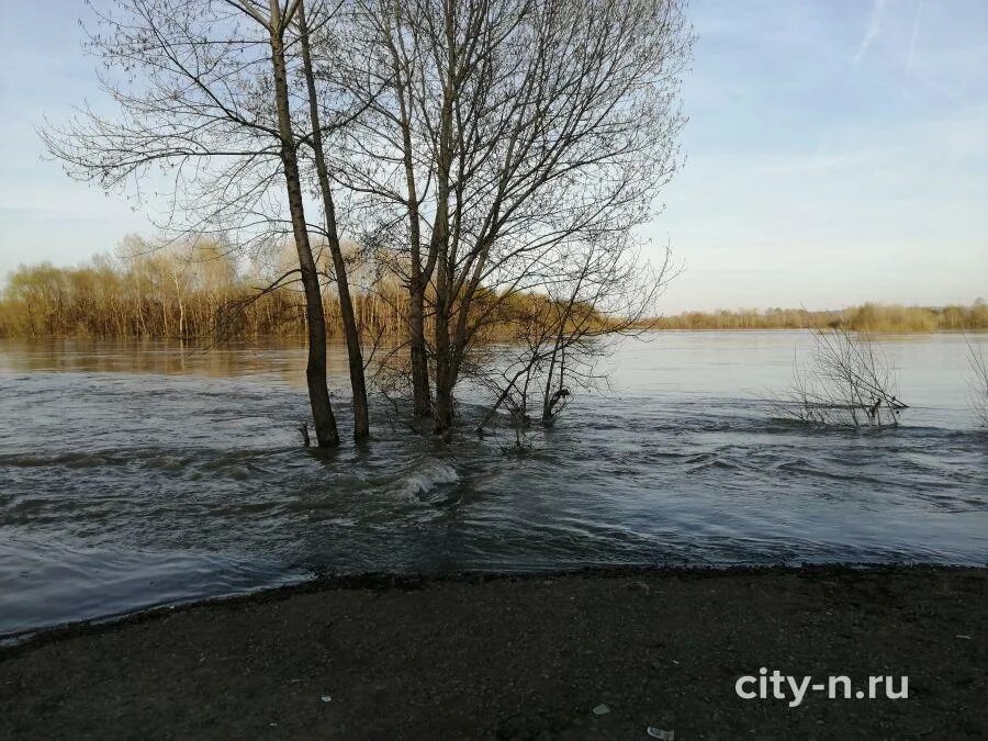 Уровень воды в реке алей. Паводок Новокузнецк. Уровень воды в Томи в Новокузнецке. Река алей. Уровень воды в реке Томь.