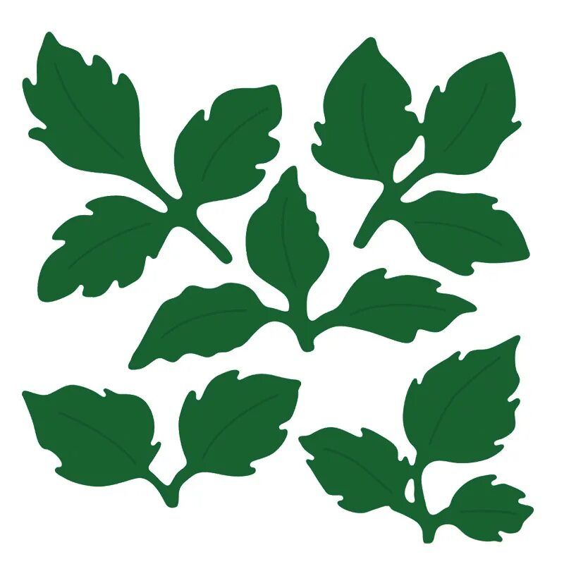 Листья деревьев вырезать. Зеленый трафарет. Зеленые листья на белом фоне. Зеленый трафарет. Веточка с листочками.