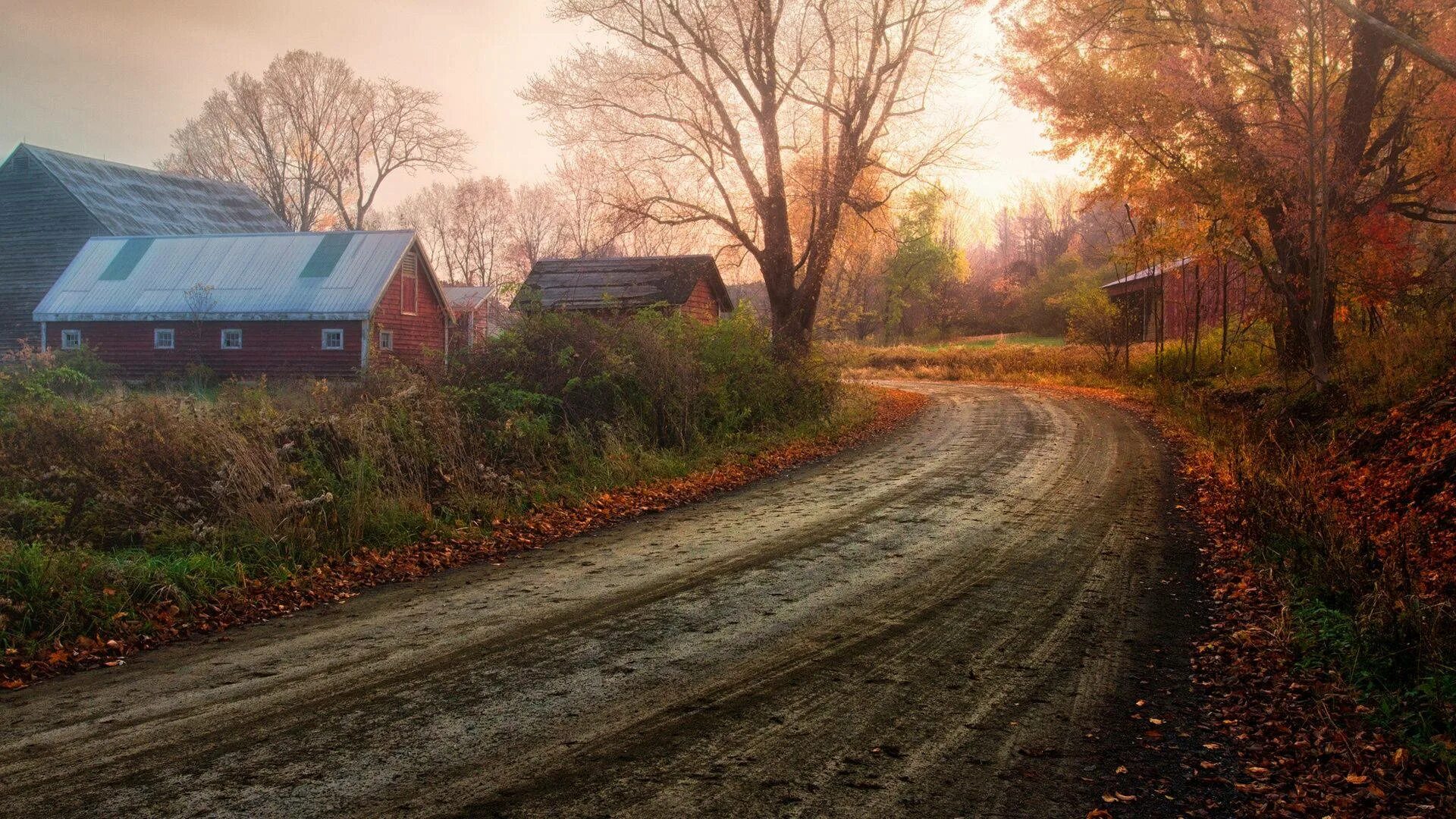 Осень деревня Зенькино. Деревня природа Проселочная дорога. Деревенский пейзаж. Деревенская дорога.