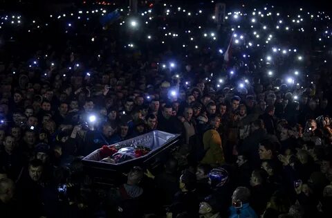Пливе кача на первом