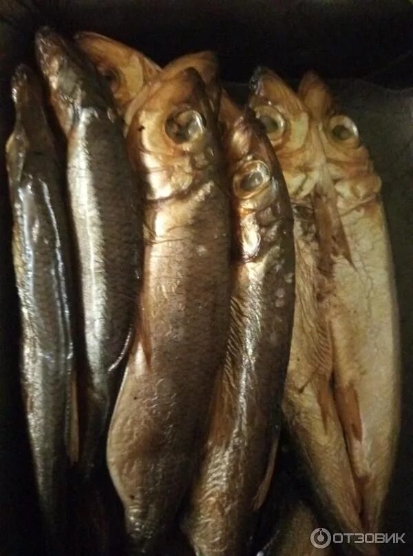 Салака холодного копчения. Салака рыба горячего копчения. Салака холодного копчения. Копчение салаки. Рыба салака холодного копчения.