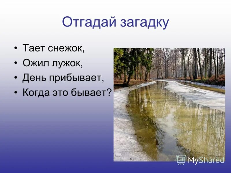рецепты алены митрофановой выпечка. королевский торт без выпечки. тающая загадка. тающая загадка. маленькие загадки про весну.