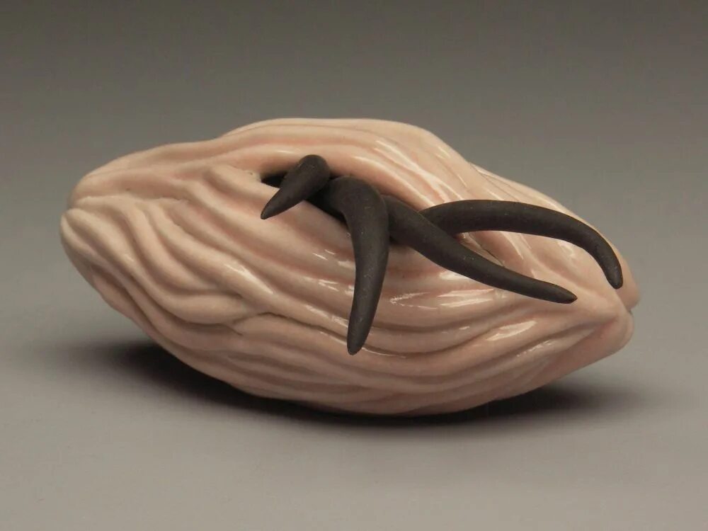 Clay forms
