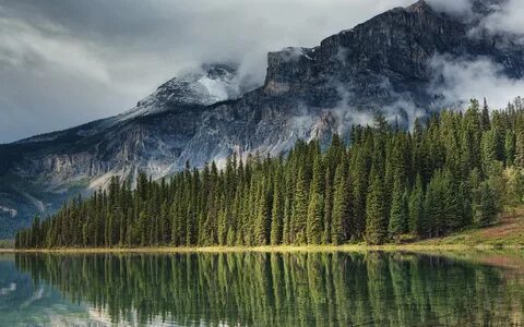 R nature