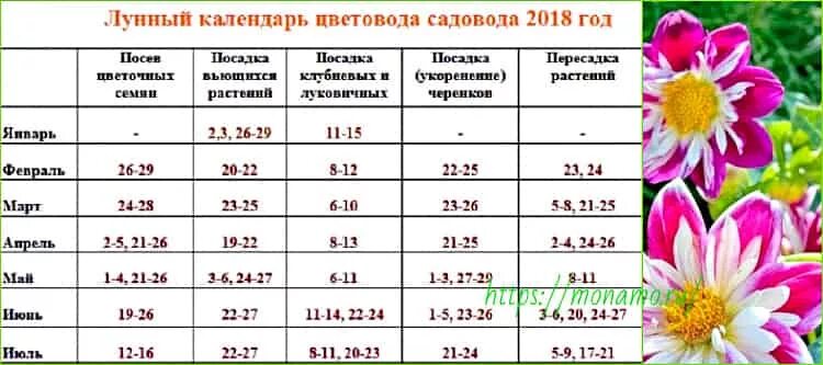 Когда сажать цветы календарь 2024 год. Календарь цветовода. Лунный календарь цветовода. Календарь растения цветовода. Календарь посадки однолетних цветов.