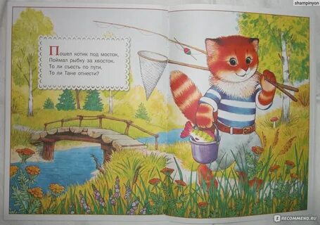 Пошел котик