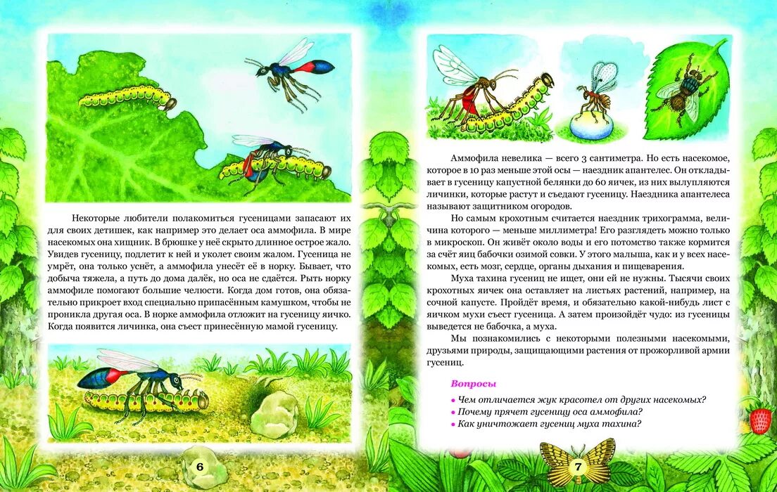 Тема насекомые в доу. Насекомые для дошкольников. Интересные насекомые для детей с описанием. Детям о насекомых в детском саду. Картинки насекомые для дошкольников.
