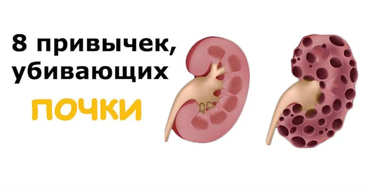 Прорыв лечение почек на сегодня